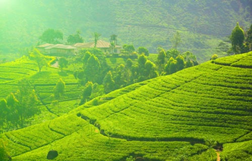 Foto de Otros caminos en bici
