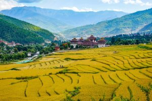 Bután: Tashichho Dzong en Thimphu rodeado de arrozales y montañas