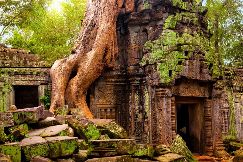 Camboya: el templo Ta Prohm bajo las gigantescas raíces de Angkor