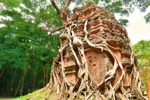 Camboya: Ancient Temple of Sambor Prei Kuk