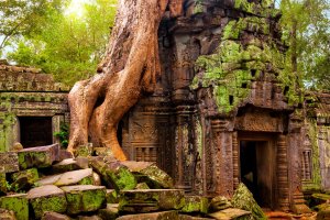 Camboya: el templo Ta Prohm bajo las gigantescas raíces de Angkor