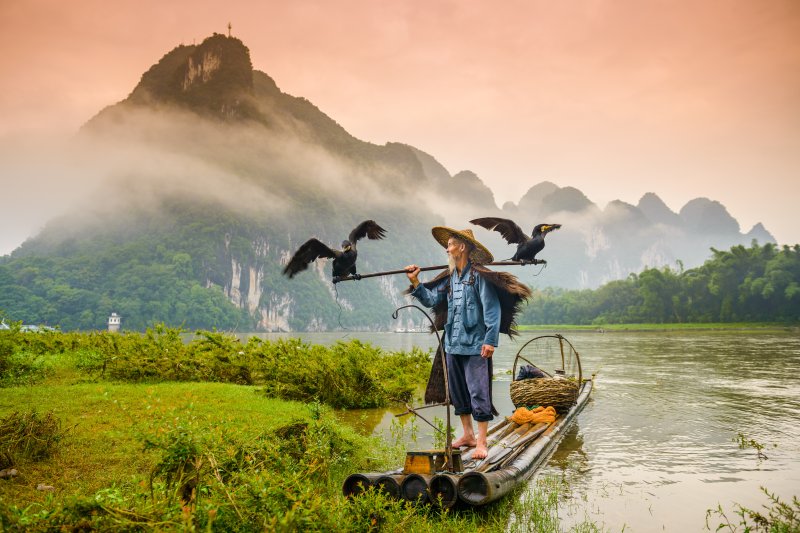 China: pescador tipico de Guilin con su cormoran