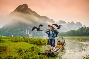China: pescador tipico de Guilin con su cormoran