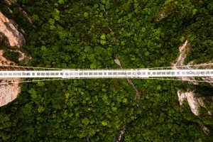 China: puente de vidrio en Zhangjiajie ... de vertigo.