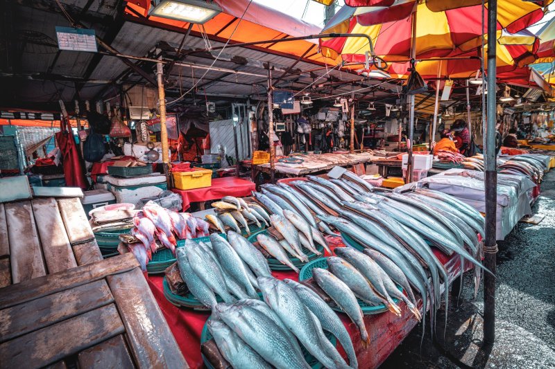Corea del Sur: puestos de pescado fresco en el mercado Jagalchi de Busan