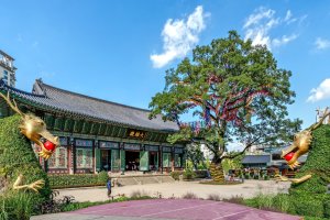 Corea del Sur: templo Jogyesa con farolillos, dragones y árbol centenario en Seúl