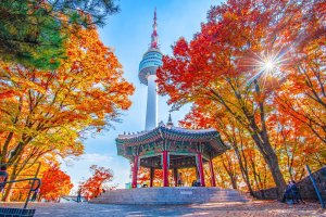 Corea del Sur: Torre Namsan y pabellón entre los colores del otoño en Seúl