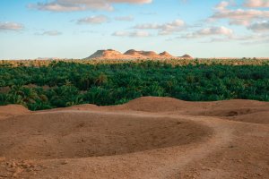 Egipto: vistas del oasis de Siwa al anochecer