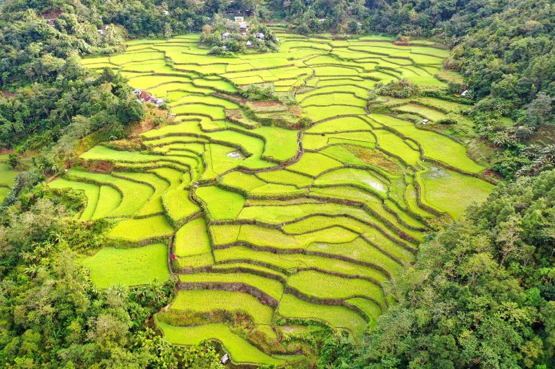 Filipinas: vista aérea de las terrazas de arroz de Banaue