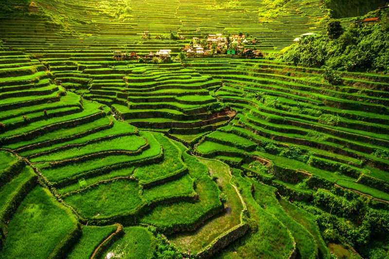 Filipinas: terrazas de arroz de Batad en el norte de Luzón