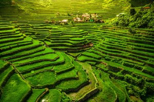 Filipinas: terrazas de arroz de Batad en el norte de Luzón