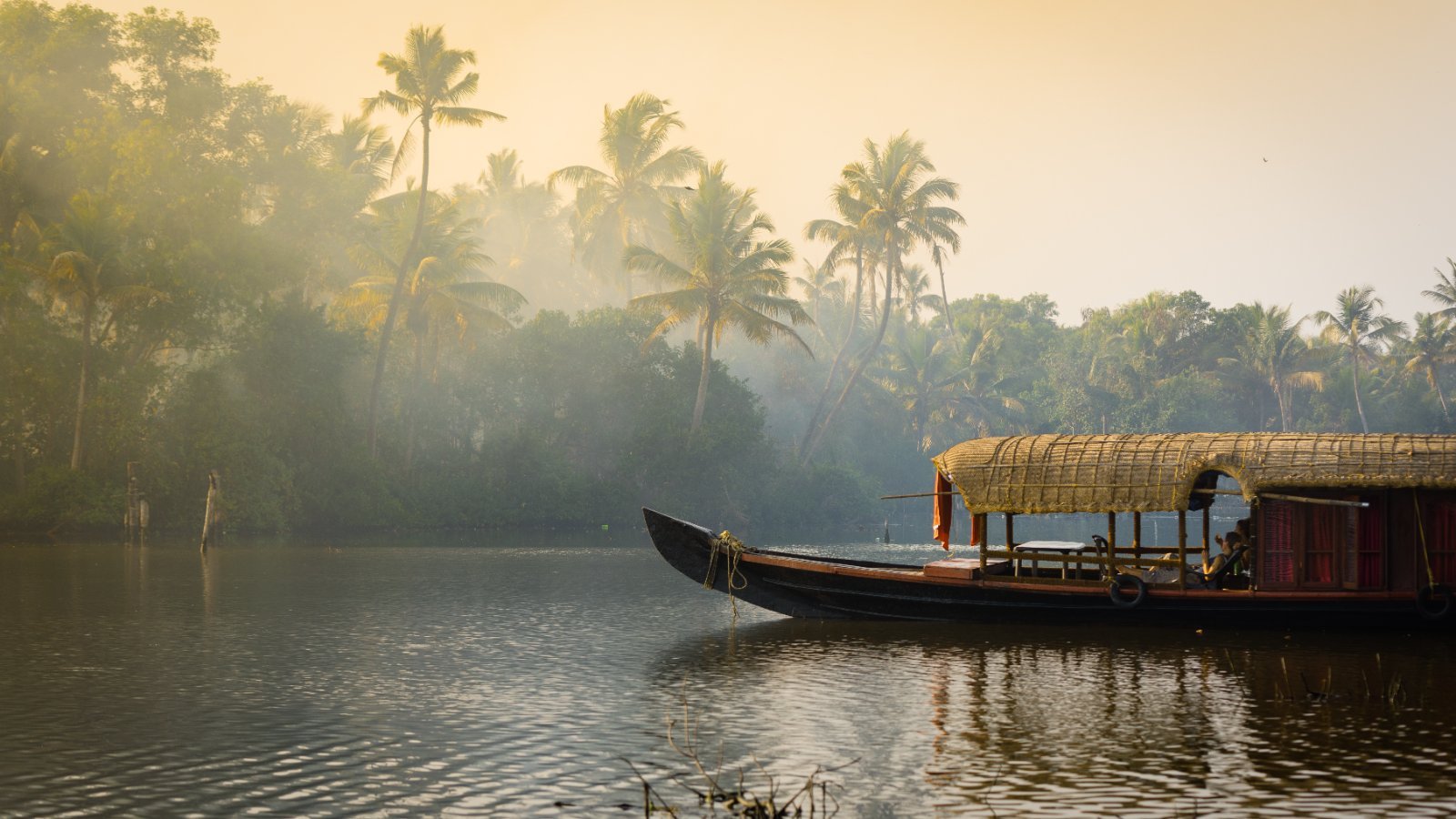 Viaje a India: Kerala y playas en 10 días