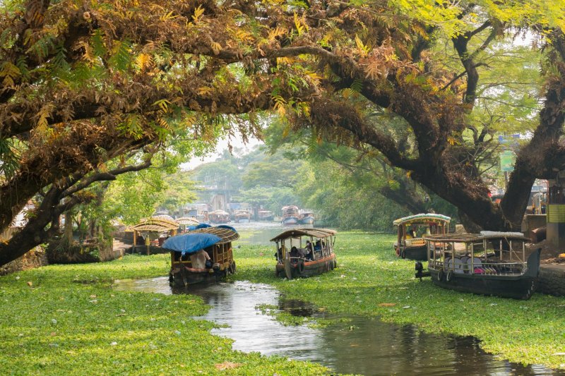 India: navegación por los backwaters de Alappuzha (Alleppey)