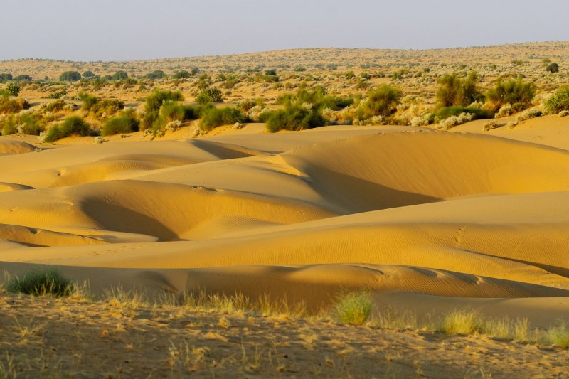 India: dunas del desierto del Thar cerca de Jaisalmer, Rajastán