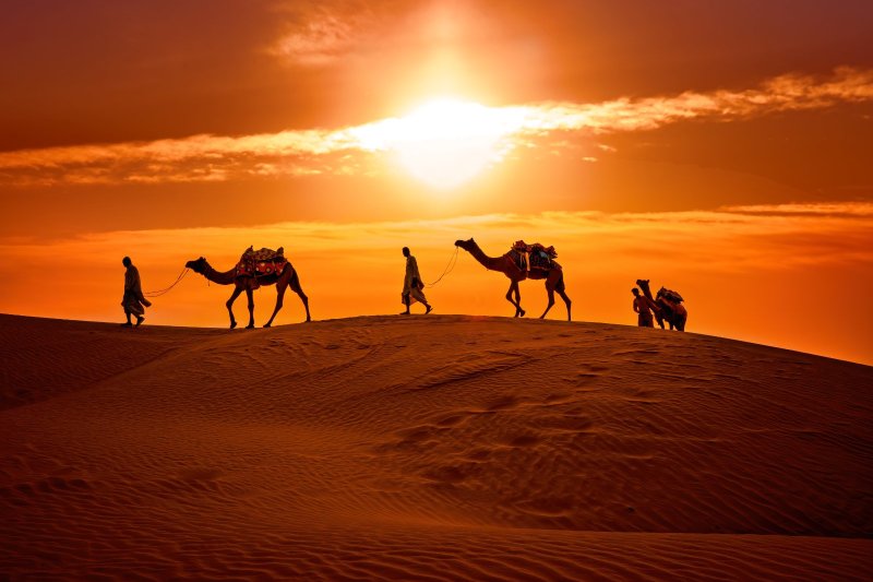 India: caravana de camellos cruzando las dunas del desierto del Thar al atardecer en Jaisalmer