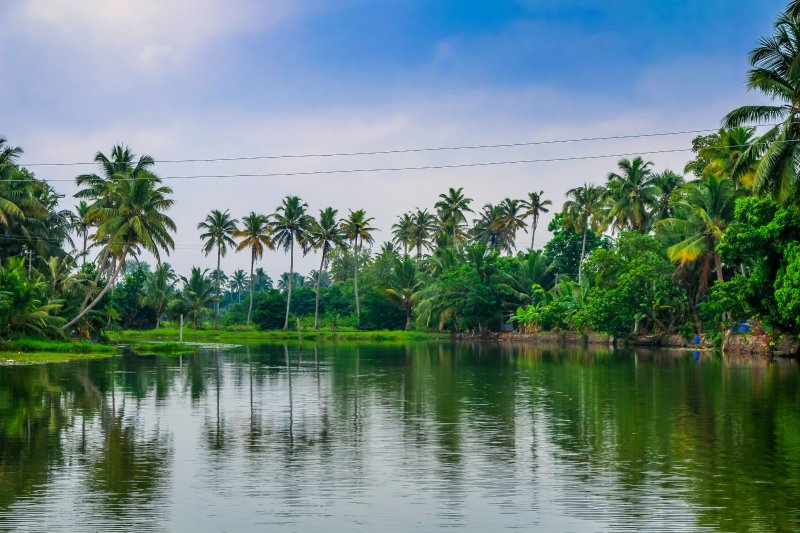 India: paisajes de los backwaters en el lago Vembanad, Kumarakom, Kerala