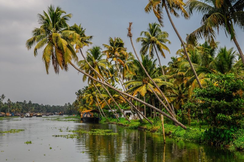 India: canales y paisajes de los backwaters de Kumarakom