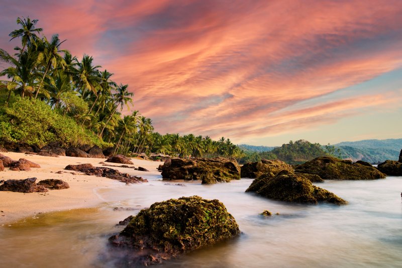 India: travesía por las tranquilas aguas de Kumarakom, Kerala