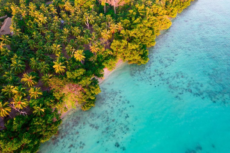 India: paisaje tropical entre mar y cocoteros en la isla Havelock