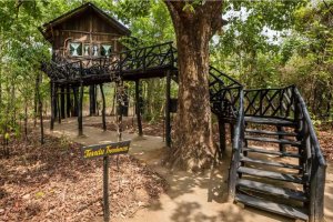 India: casa en un árbol en Bandhavgarh, alojamiento singular en plena naturaleza