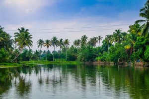 India: paisajes de los backwaters en el lago Vembanad, Kumarakom, Kerala