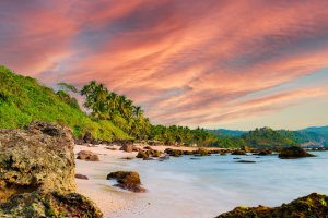 India: playa de Marari al atardecer entre palmeras, Kerala