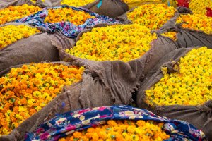 India: sacos repletos de flores en el mercado de Jaipur