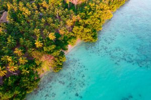India: paisaje tropical entre mar y cocoteros en la isla Havelock