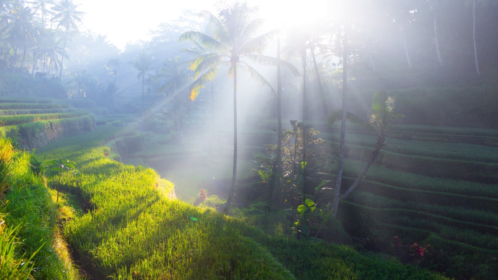 Viaje a Bali de Lujo con Singapur en 12 días