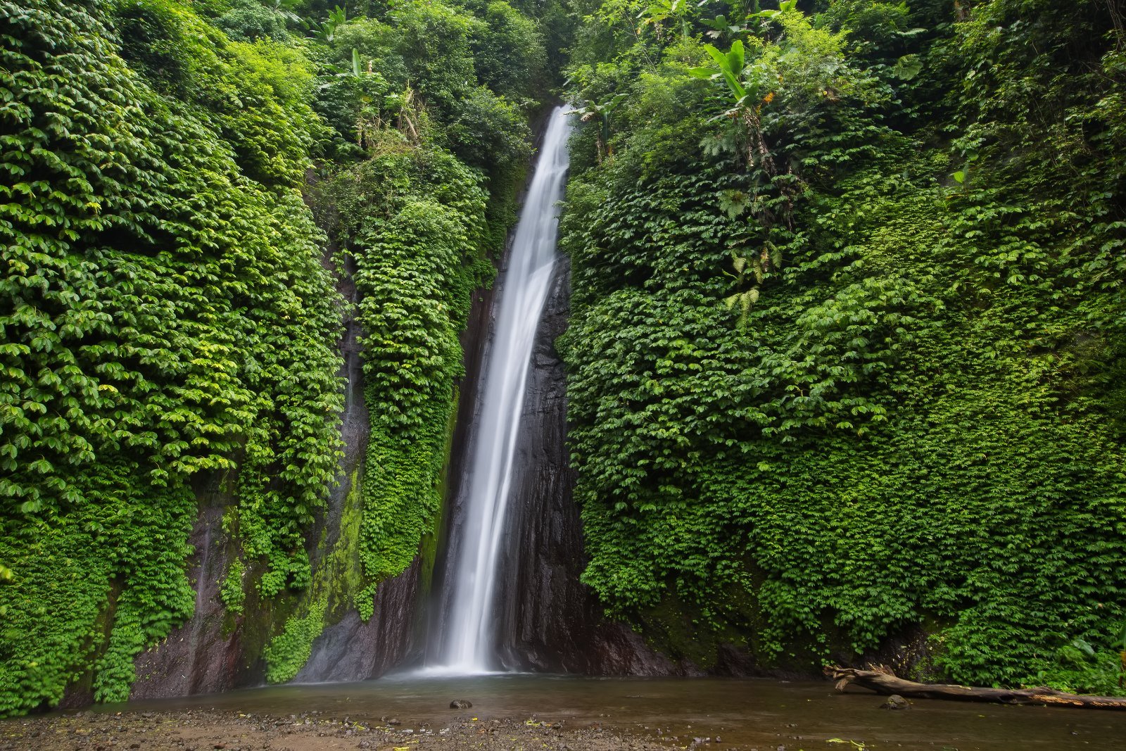 Viaje a Bali y Nusa Penida: Norte, Sur y Rayas Manta en 14 días