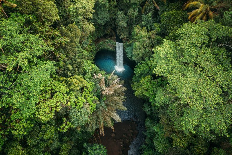 Indonesia: la cascada Tibumana escondida entre la exuberante selva de Bali