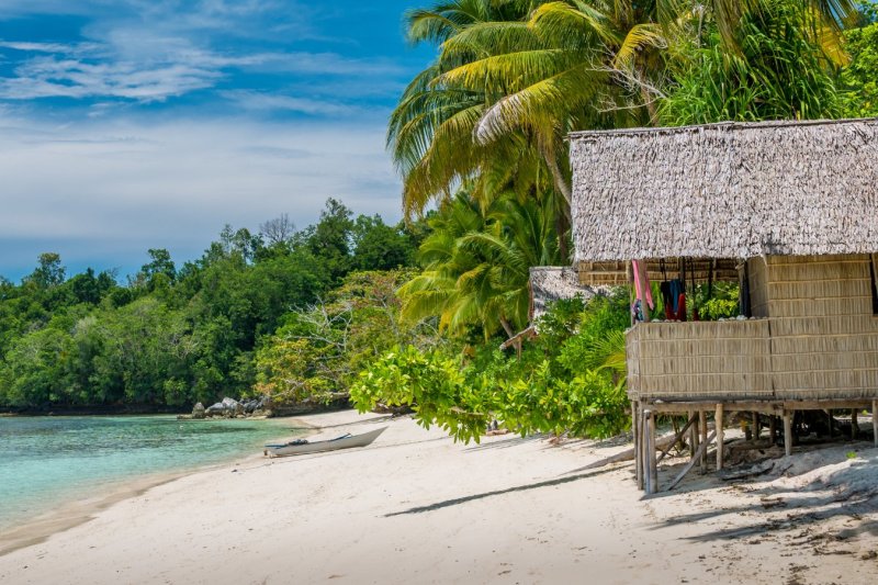 Indonesia: cabaña de bambú entre palmeras en la isla de Gam, Raja Ampat