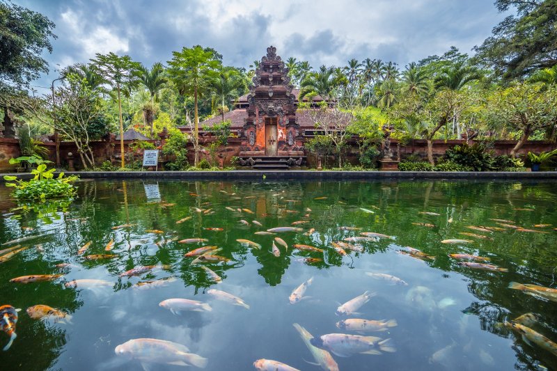 Indonesia: manantiales sagrados y peces en el templo Pura Tirta Empul