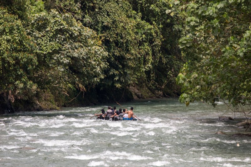Indonesia: experiencia de rafting en el río Bohorok, Bukit Lawang