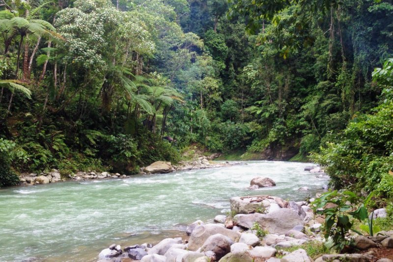Indonesia: río Bohorok a su paso por Bukit Lawang, Sumatra
