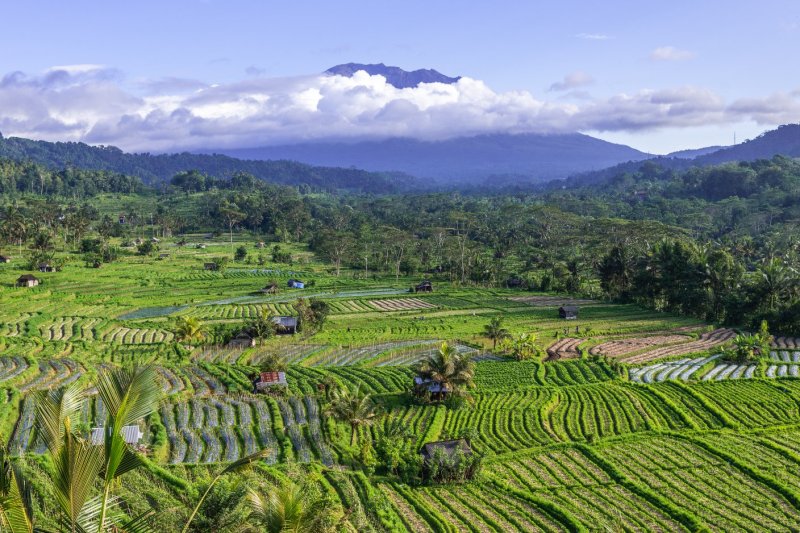 Indonesia: arrozales del valle de Sidemen con el monte Agung al fondo en Bali