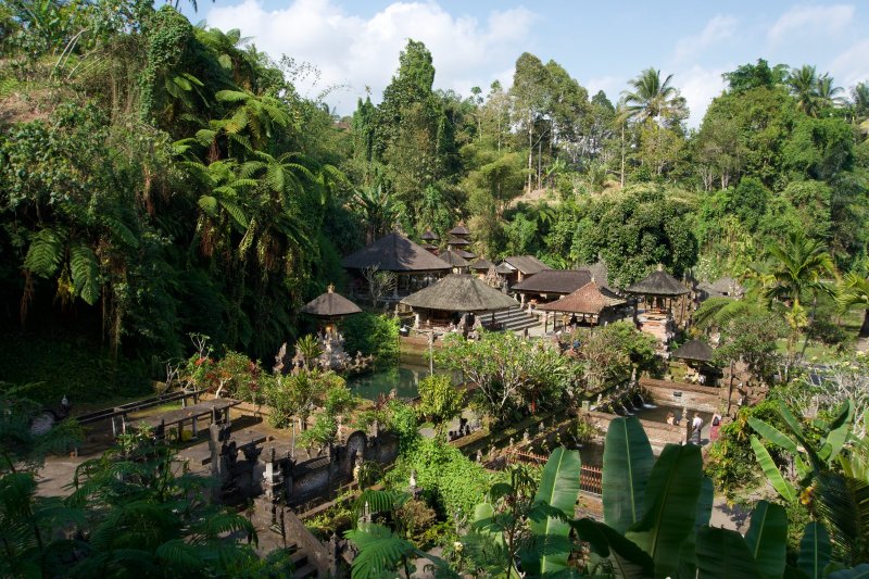 Indonesia: el templo Tirta Empul, santuario hindú entre la selva tropical de Bali