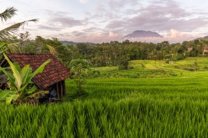 Indonesia: campos de arroz y montañas en Sidemen, Bali