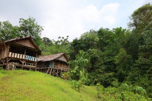 Indonesia: exuberante selva en Bukit Lawang, Parque Nacional Gunung Leuser