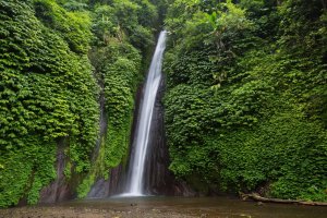 Indonesia: las cascadas ocultas de Munduk, Bali