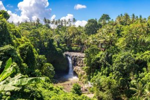 Indonesia: la cascada Tegenungan cerca de Ubud, Bali