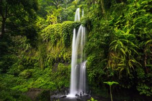 Indonesia: la cascada Tiu Kelep entre exuberantes paisajes verdes de Lombok