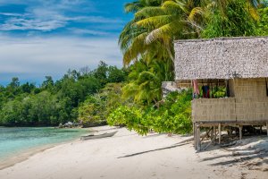 Indonesia: cabaña de bambú entre palmeras en la isla de Gam, Raja Ampat