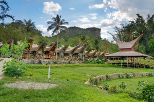 Indonesia: aldea tradicional de Kete Kesu y casas tongkonan en Tana Toraja