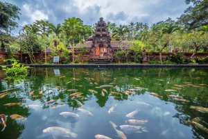 Indonesia: manantiales sagrados y peces en el templo Pura Tirta Empul