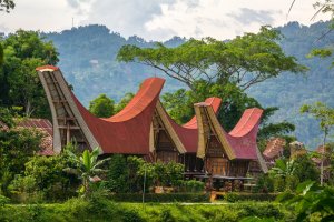 Indonesia: aldea tradicional de Tana Toraja en Sulawesi