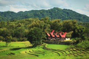 Indonesia: graneros tradicionales tongkonan en una aldea de Tana Toraja, Sulawesi