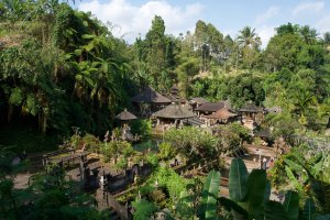 Indonesia: el templo Tirta Empul, santuario hindú entre la selva tropical de Bali