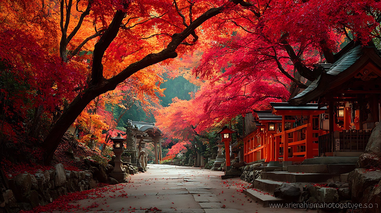 Viaje a Japón en grupo 8 días: esencia cultural en grupo