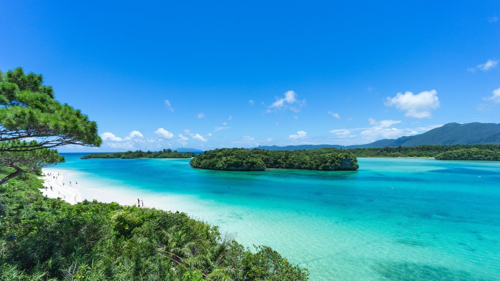 foto del viaje: Lo mejor de Japon en rail pass y Okinawa